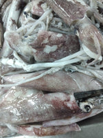 Squid (5Kg Box)