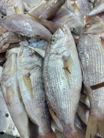 Dentex (5Kg Box, $35/Kg)