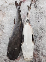 Catfish Frozen ($12/kg)