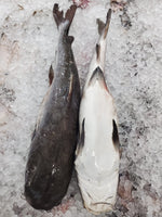 Catfish Frozen ($15/kg)