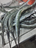 Needlefish (5Kg Box, $28/Kg)