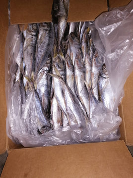 Horse Mackerel Frozen ($7/kg)