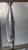 Mackerel (5Kg Box, $20/Kg)