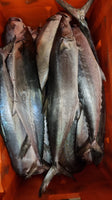 Mackerel Frozen ($18/Kg)